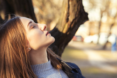 Similar image 21379461