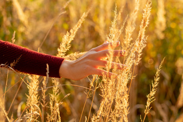 Similar image 21379816