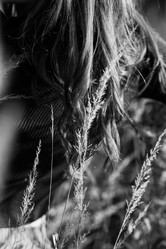 Similar image 21379819