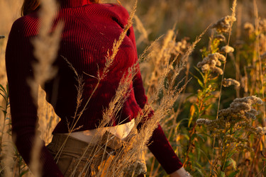 Similar image 21379034