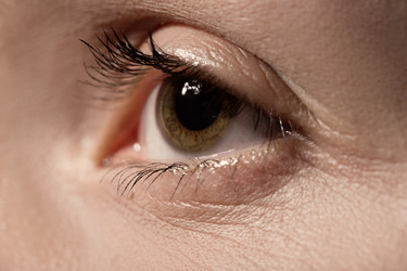 Similar image 21379239