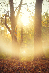 Similar image 21379490