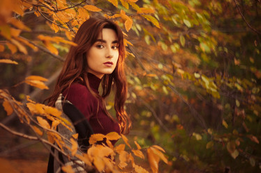 Similar image 21379492