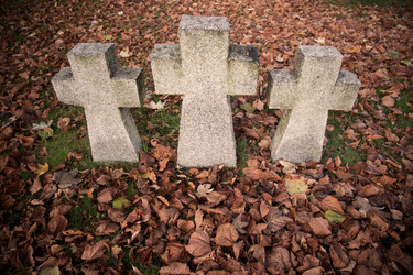 Similar image 21379777