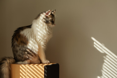 Similar image 21380084