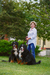 Similar image 21380099