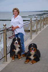 Similar image 21380105