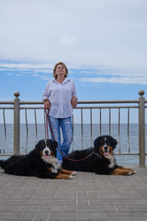 Similar image 21380109