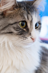 Similar image 21379412