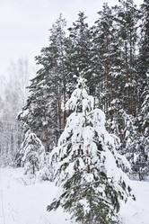 Similar image 21366070