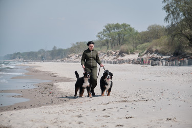 Similar image 21380060