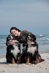 Similar image 21380062