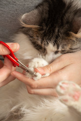 Similar image 21380249