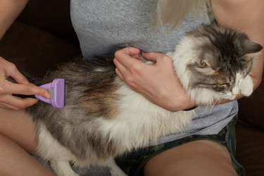 Similar image 21380252