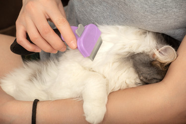 Similar image 21380262