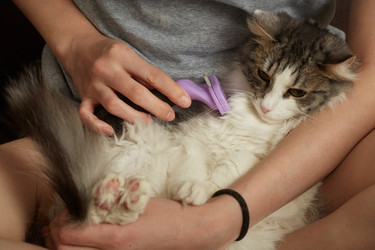 Similar image 21380265