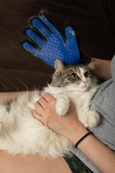 Similar image 21380268