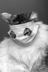 Similar image 21380508