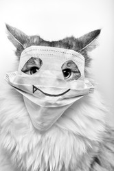 Similar image 21380512