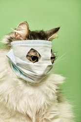 Similar image 21380514