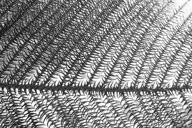 Similar image 21380515