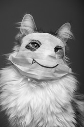 Similar image 21380518