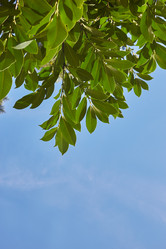 Similar image 21380519