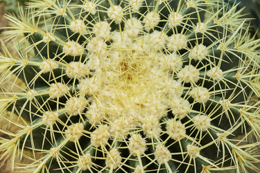 Similar image 21380523