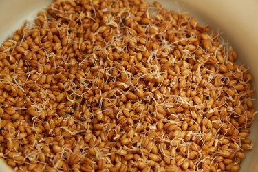 Similar image 21380531