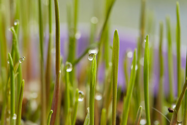 Similar image 21380536