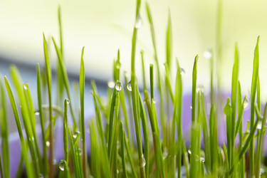 Similar image 21380537