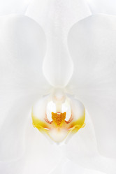 Similar image 21380539