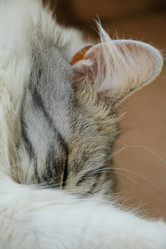 Similar image 21380543