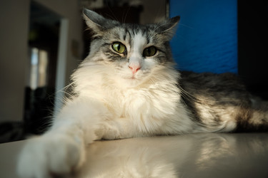 Similar image 21380545