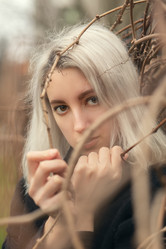 Similar image 21380047