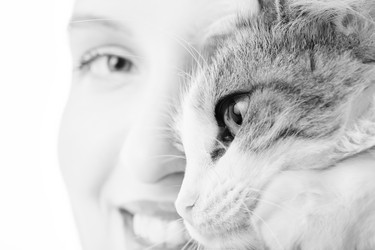 Similar image 21380065