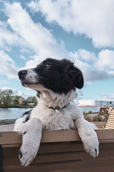 Similar image 21380634