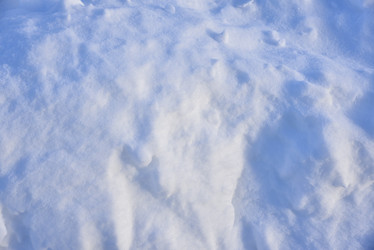 Similar image 21343511