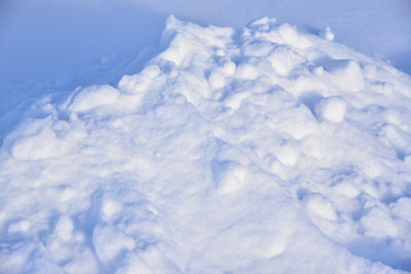 Similar image 21343512