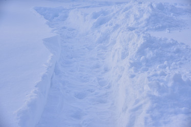 Similar image 21343754