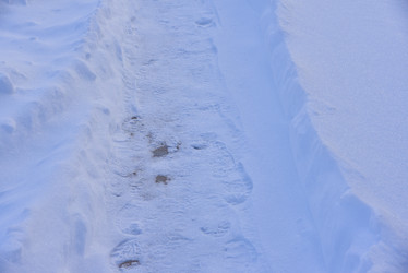 Similar image 21343755