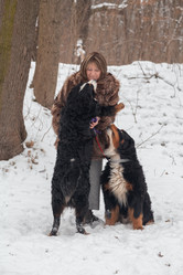 Similar image 21380839