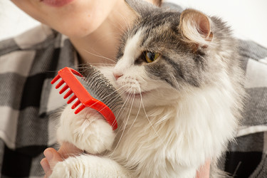 Similar image 21380994