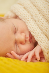 Similar image 21381004