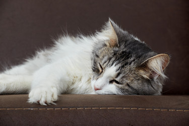 Similar image 21381012