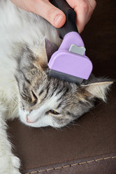 Similar image 21381016