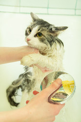 Similar image 21381282