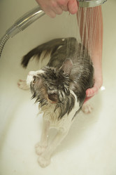 Similar image 21381292