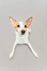 Similar image 21381032