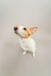 Similar image 21381040